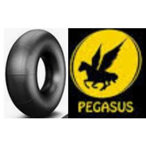 CAMARA 20.8-42  TR218A PEGASUS - PEGASSUS